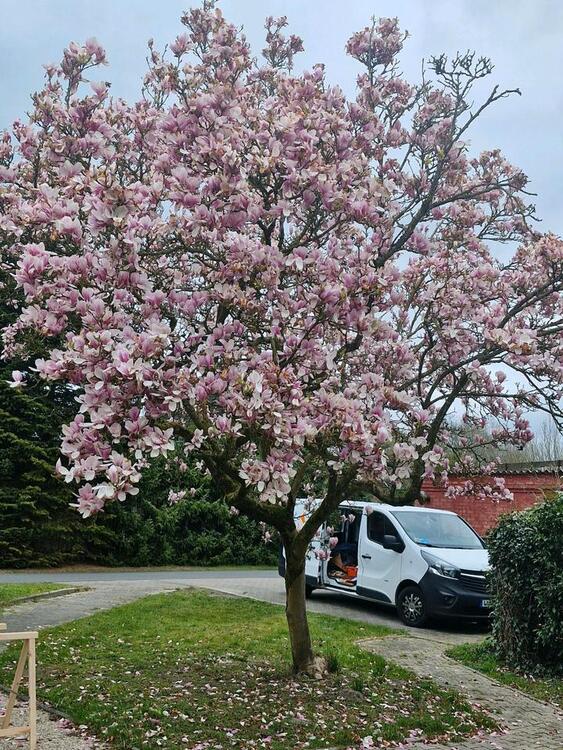 Thumbnail-Ferienhaus, Ferienwohnung 26670 Uplengen - Ostfriesland ebenerdig