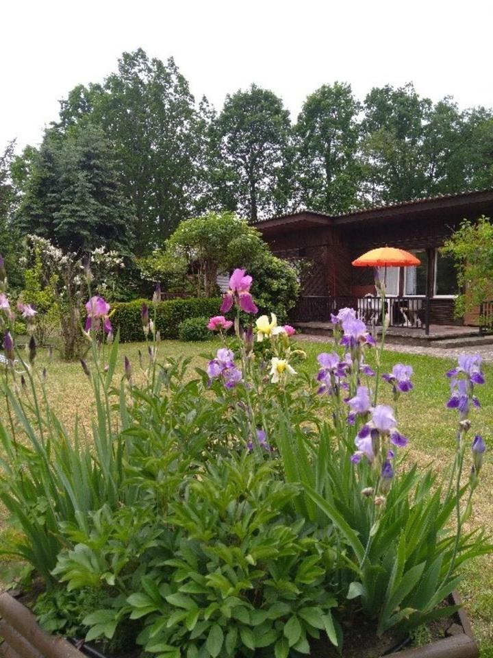 Thumbnail-Ferienhaus in Bad Saarow