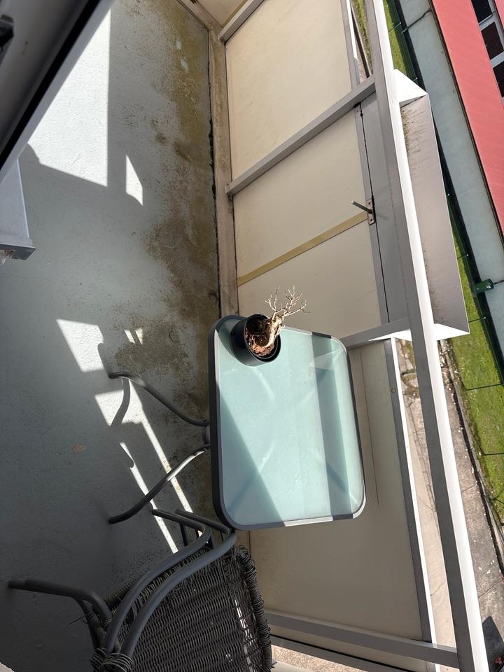 Thumbnail-2 Raumwohnung