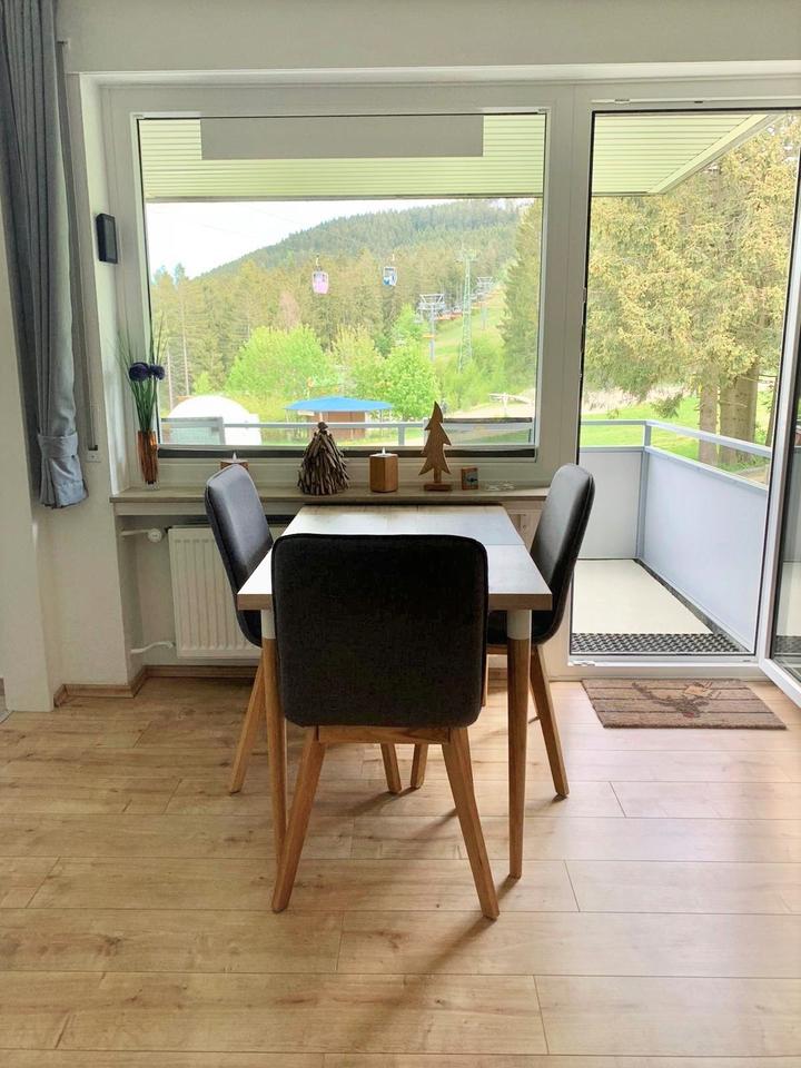 Thumbnail-Ferienwohnung Lieblingsplatz Harz Hahnenklee direkt am Lift