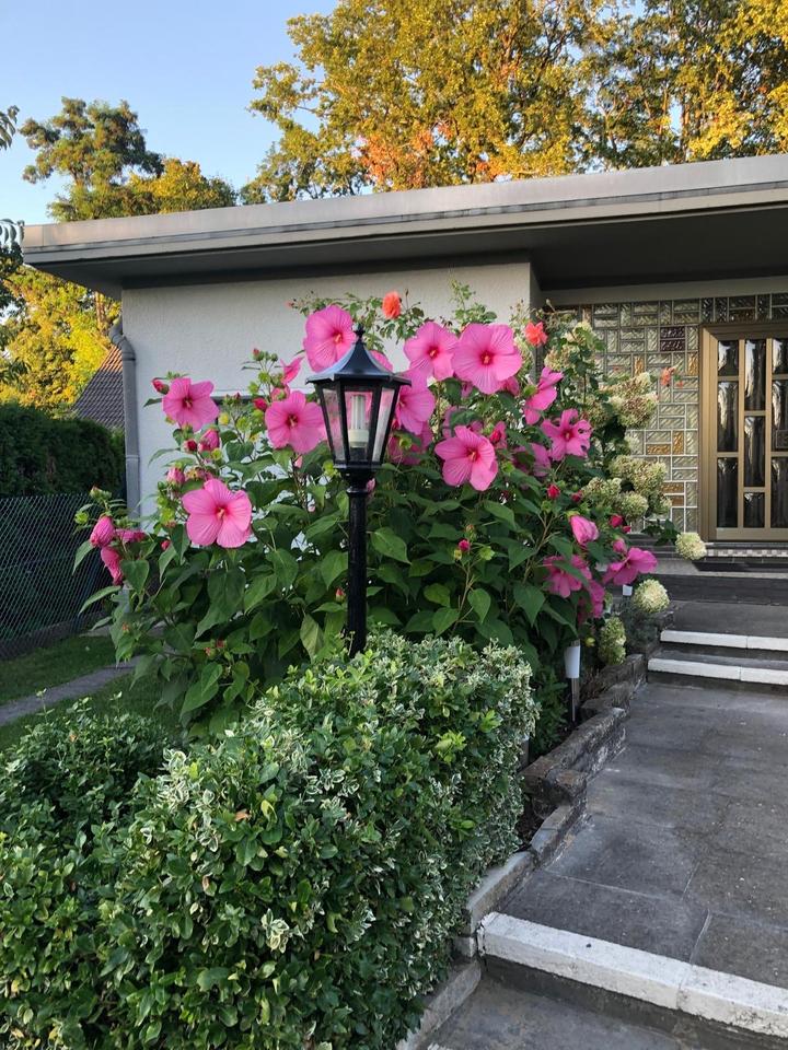 Thumbnail-Massiv erbautes Einfamilienhaus auf großem Grundstück