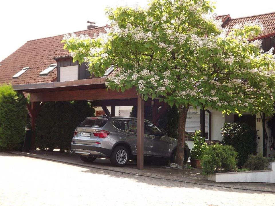 Thumbnail-Studentenwohnung