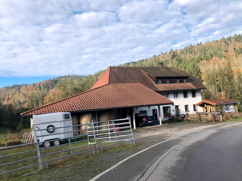 Thumbnail-Bauernhof ideal für Pferdehaltung