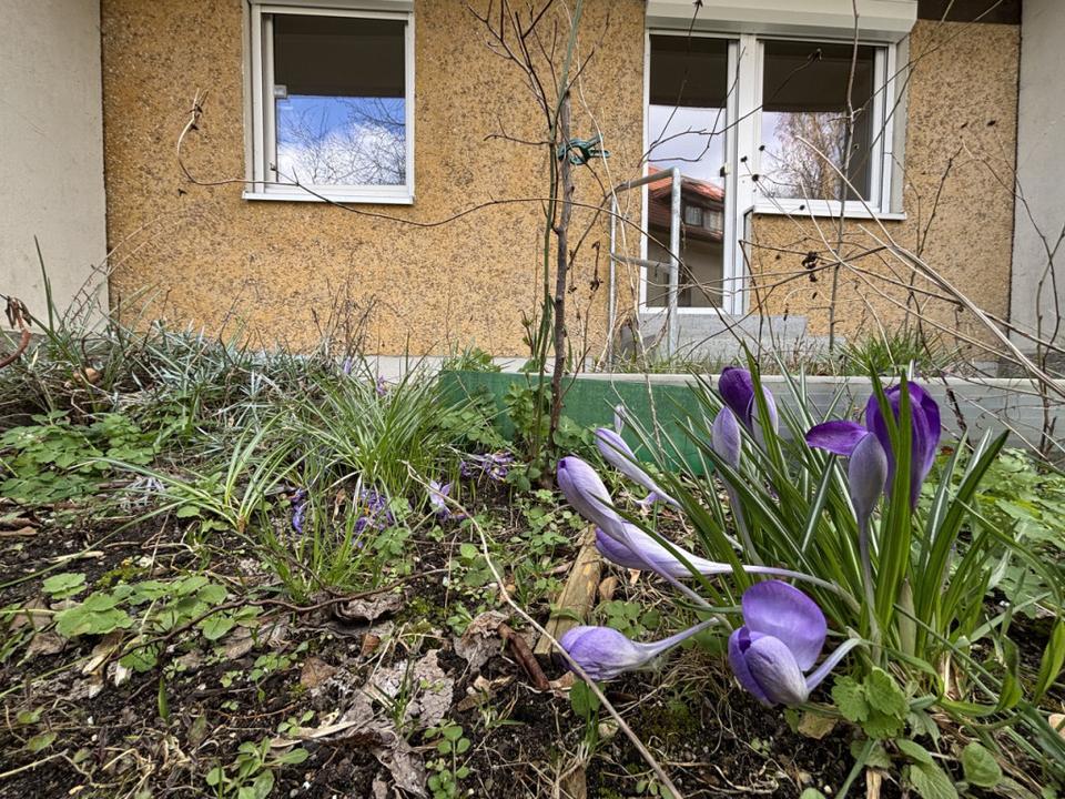 Thumbnail-2-Zimmer-Wohnung mit Terrasse und kleinem Garten