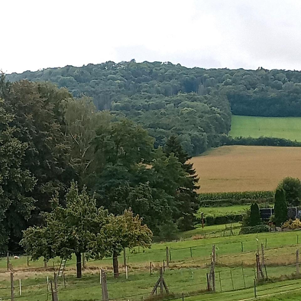 Thumbnail-Einfamilienhaus zu vermieten