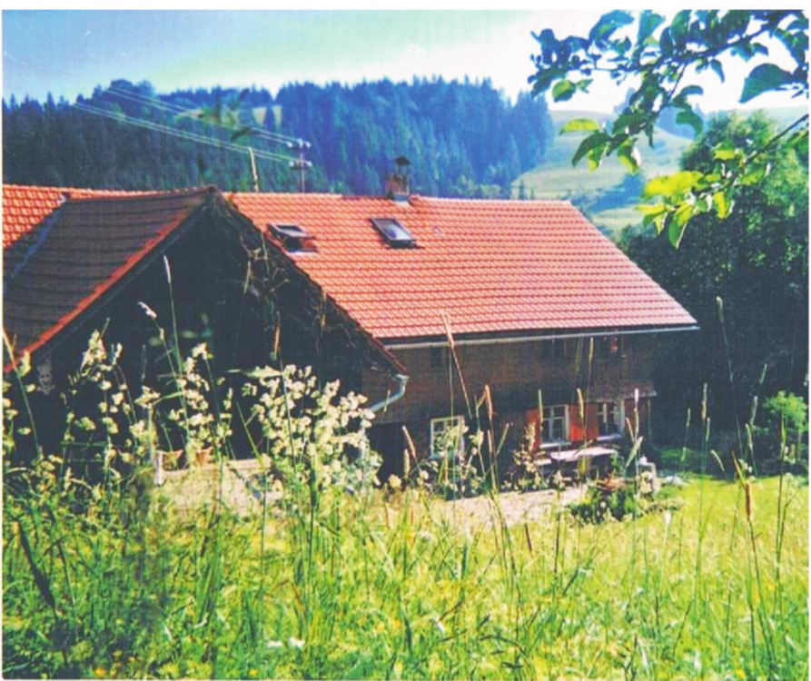 Thumbnail-Haushälfte auf Selbstversorgerbergbauernhof