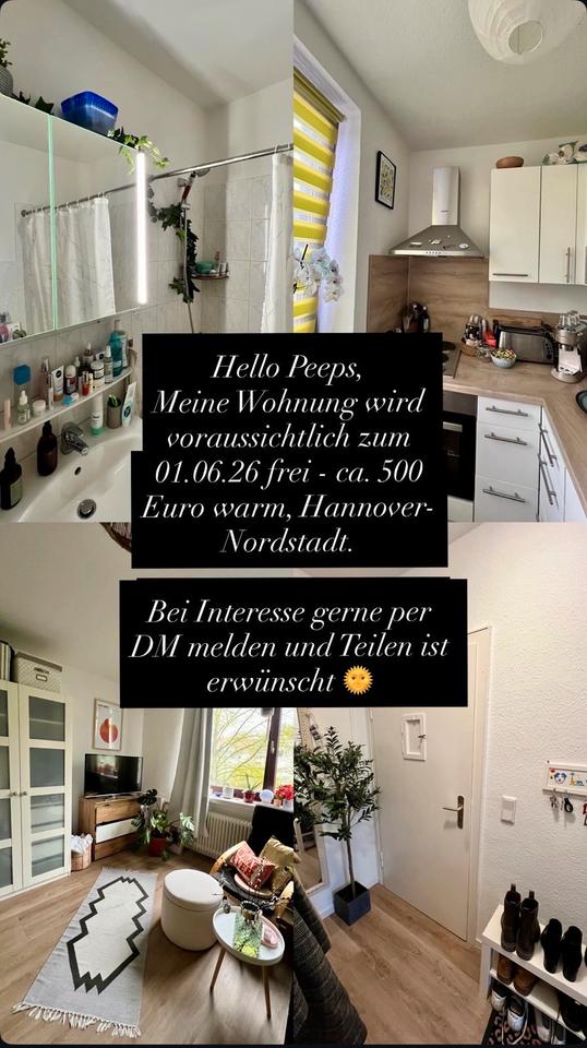 Thumbnail-Ein-Zimmer-Wohnung in der Nordstadt zum 01.06.26