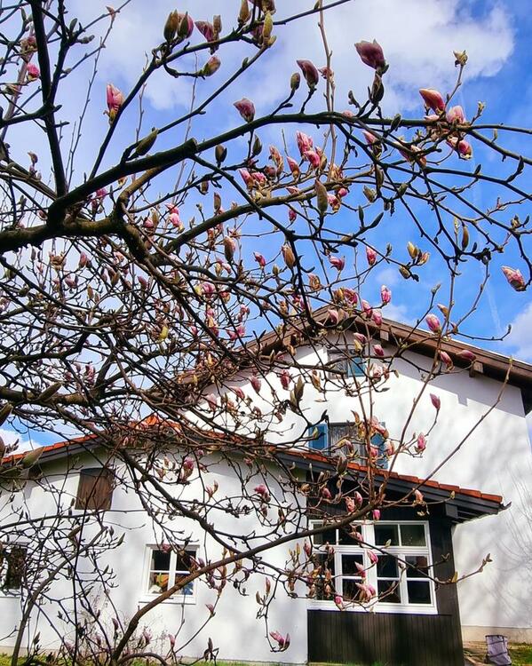 Thumbnail-Solides Haus in Frasdorf mit großem Potenzial für Macher-Familien