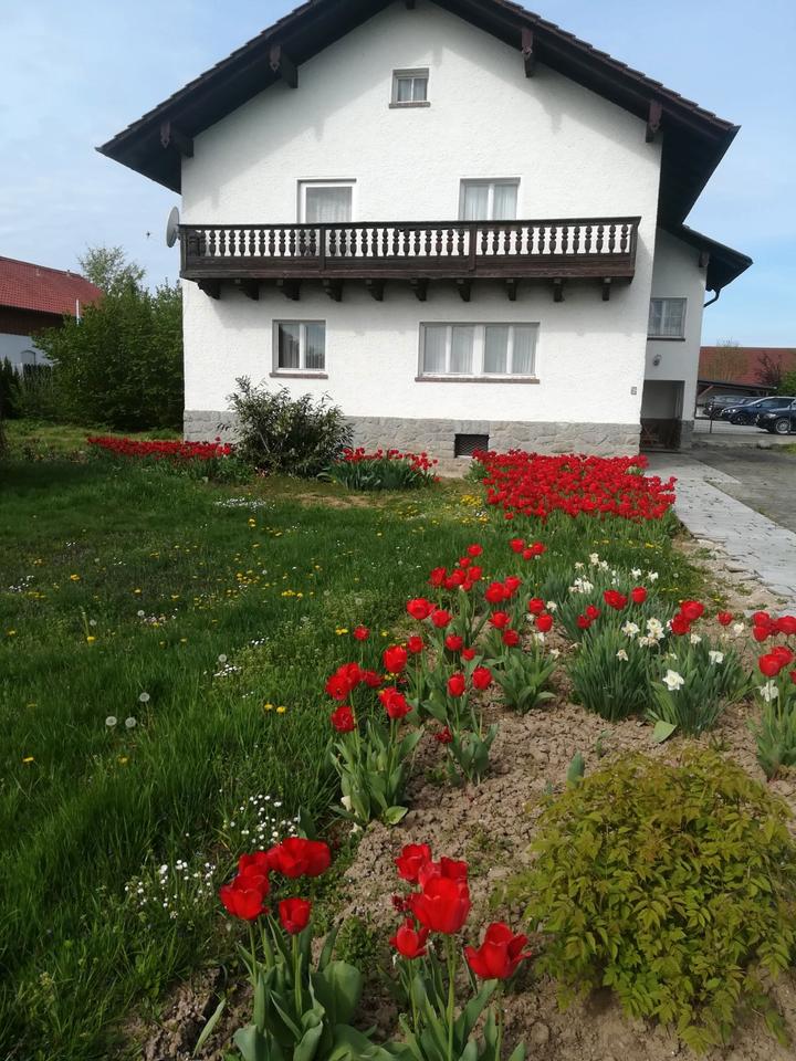 Thumbnail-Einfamilienhaus