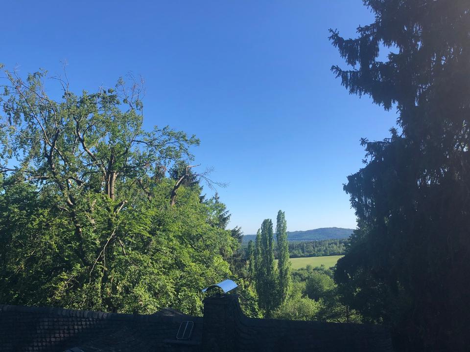 Thumbnail-Naturnahe Dachgeschosswohnung mit Fernblick