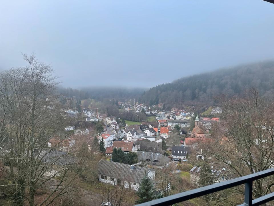 Thumbnail-Wohnungsmiete Bad Herrenalb PLZ 76332