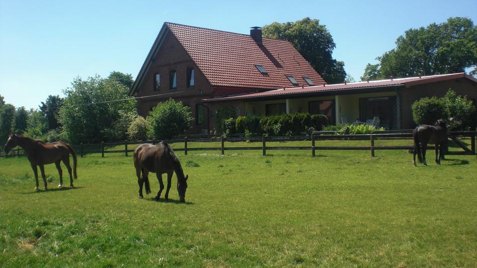 Thumbnail-1,5 Zimmer-Wohnung an weibliche Person