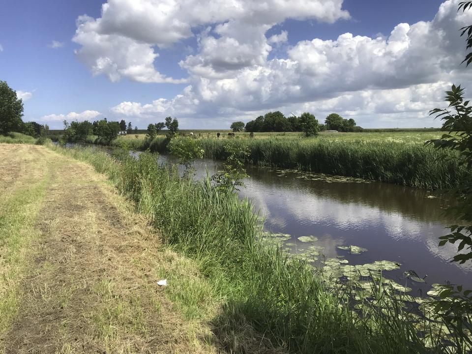 Thumbnail-Ferienanlage Haus am Siel von privat ab 35,00 Euro