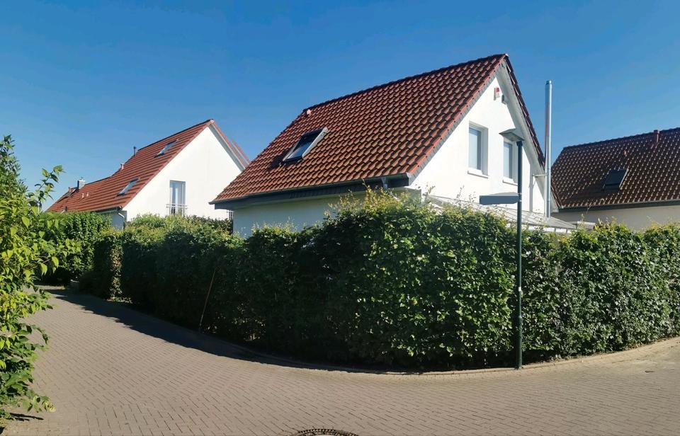 Thumbnail-Attraktives Single-Haus