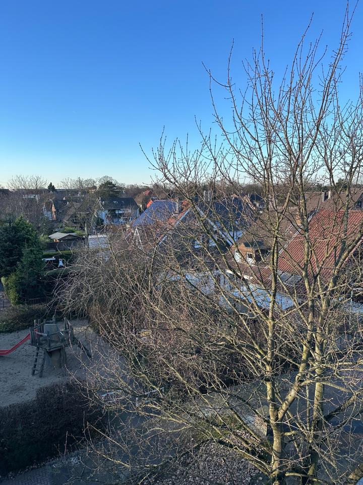 Thumbnail-Erstbezug nach Modernisierung im Frühjahr 2026