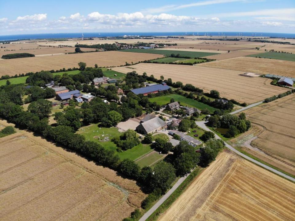 Thumbnail-Urlaub auf dem Bauernhof (Ostseeinsel Fehmarn)