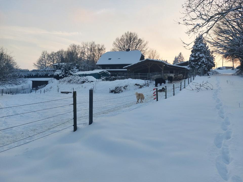 Thumbnail-BAUERNHOF - PFERDEHOF - 4 HEKTAR WEIDE - LEBEN MIT TIEREN
