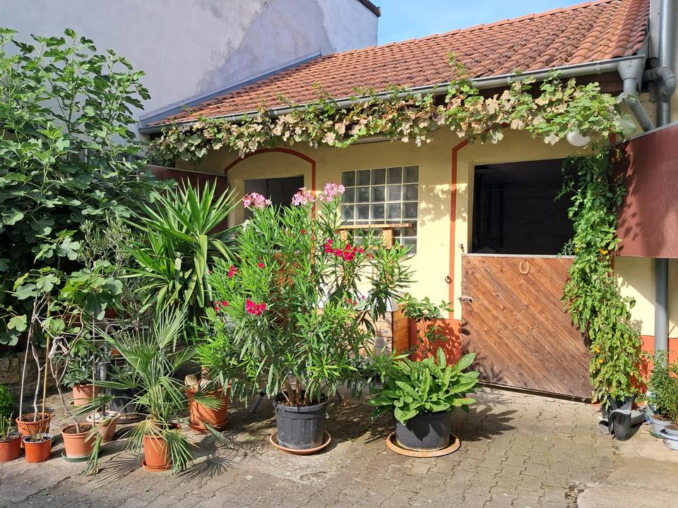 Thumbnail-Einfamilienhaus mit Dreiseitenhof