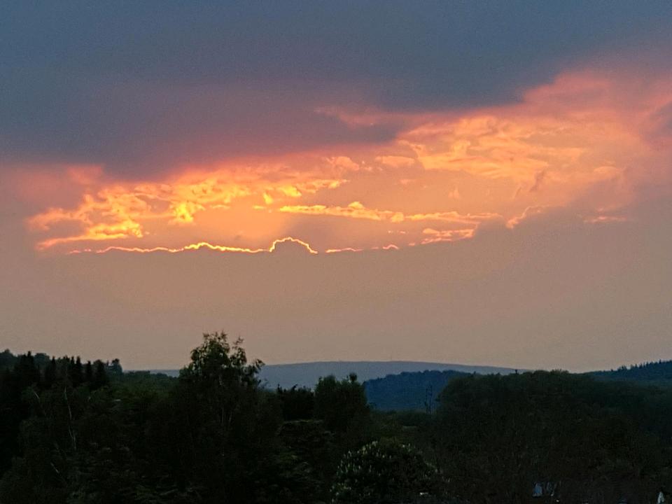 Thumbnail-4 Zimmer Wohnung Erstbezug