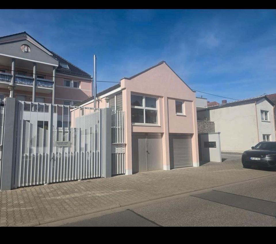 Thumbnail-Freistehende renovierte Wohnung in Worms Weinshein