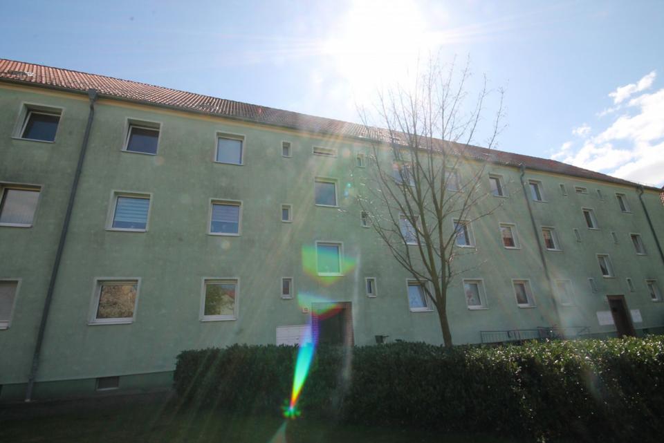 Thumbnail-3 Raumwohnung mit Dusche