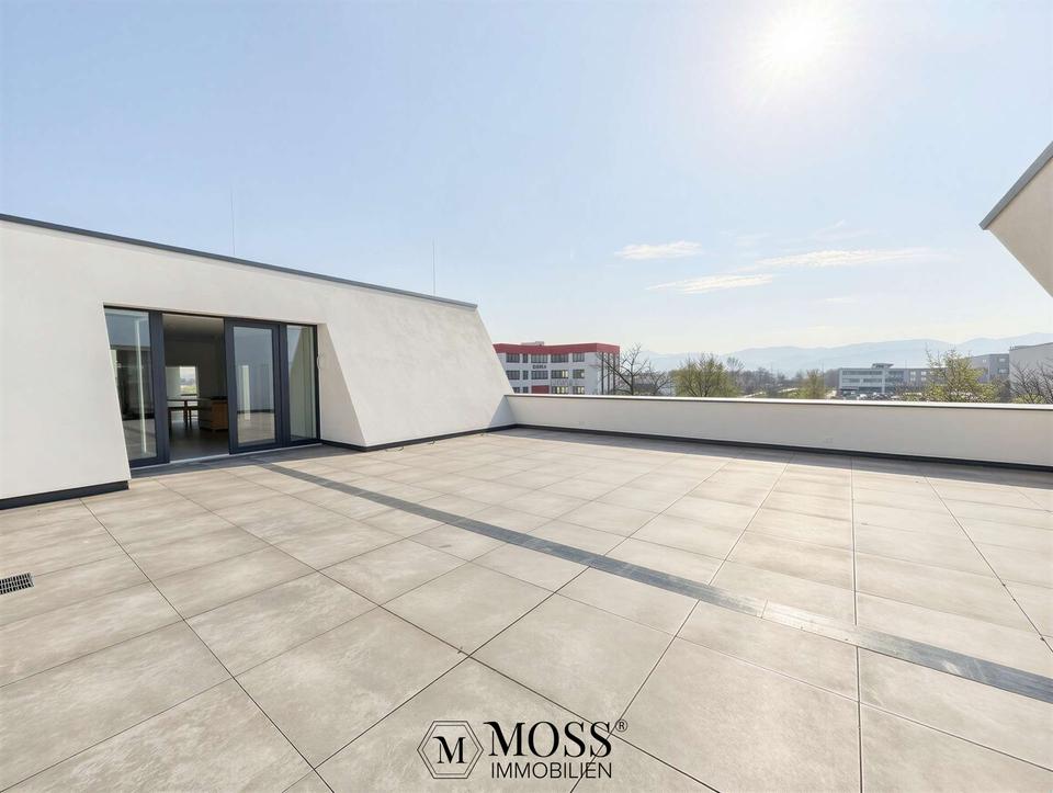Thumbnail-Penthouse-Büro mit 4 Einzelbüros und großem Open Space – ideal für moderne Arbeitskonzepte