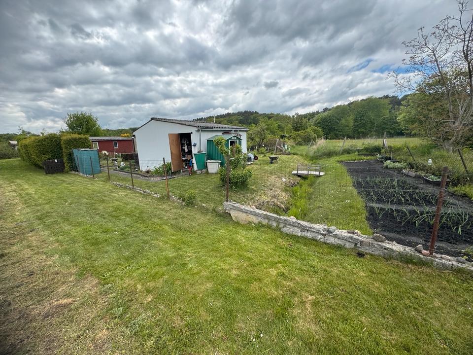 Thumbnail-Garten in Brandenburg-Eisenhüttenstadt abzugeben