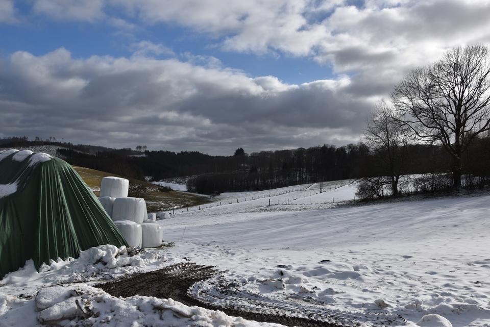 Thumbnail-Resthof mit großen Stallungen und arrondiertem Weideland !!! BIO konformer Stall !!