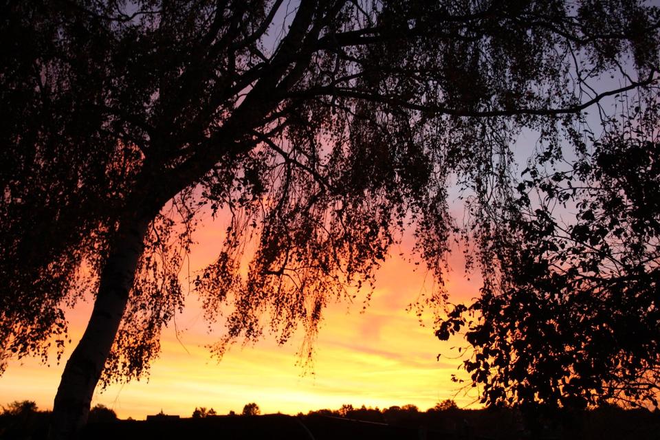 Thumbnail-wg-platz für nur eine Person 65 Quadratmeter