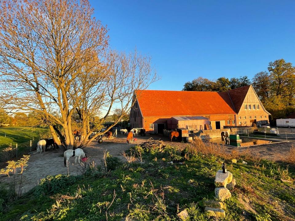 Thumbnail-Kleine Erdgeschosswohnung auf einem Pferdehof