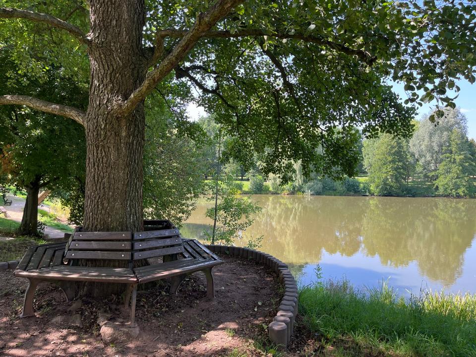 Thumbnail-4 RW im ruhigen Teil Neuplanitz´s!