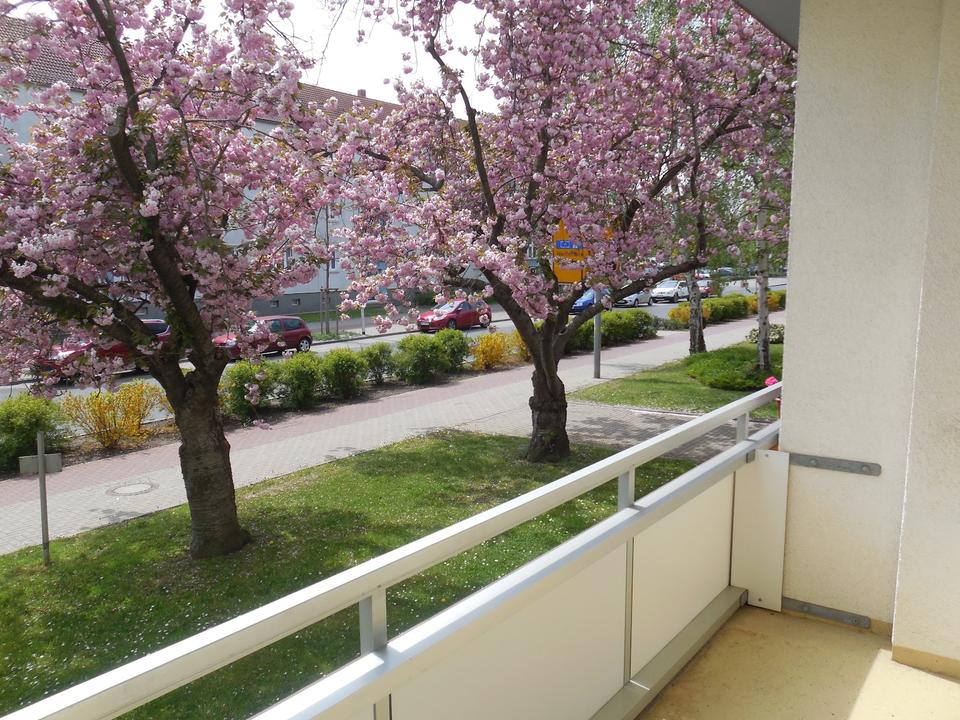 Thumbnail-In wenigen Schritten in Ihrer neuen Wohnung - EG rechts