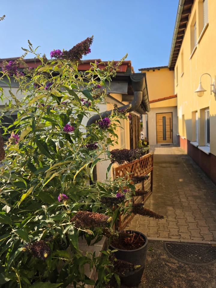 Thumbnail-DHH in ruhiger Siedlungslage