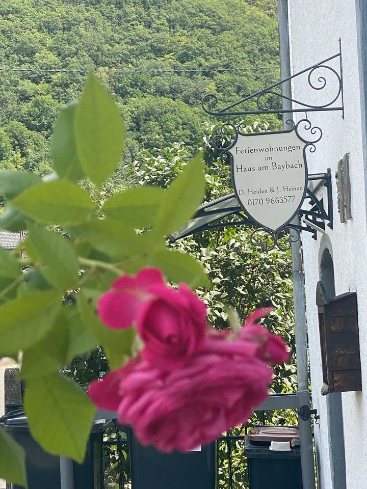 Thumbnail-Ferienwohnung in Burgen an der Mosel