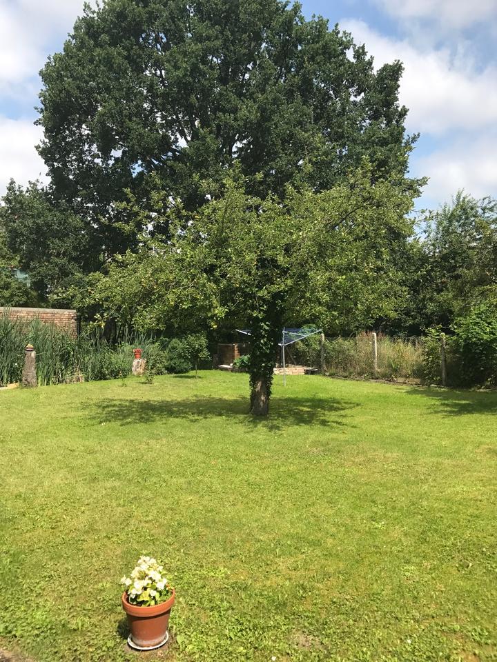 Thumbnail-Vermietet wird eine gepflegte 3-Zi-Wohnung in 16225 Eberswalde