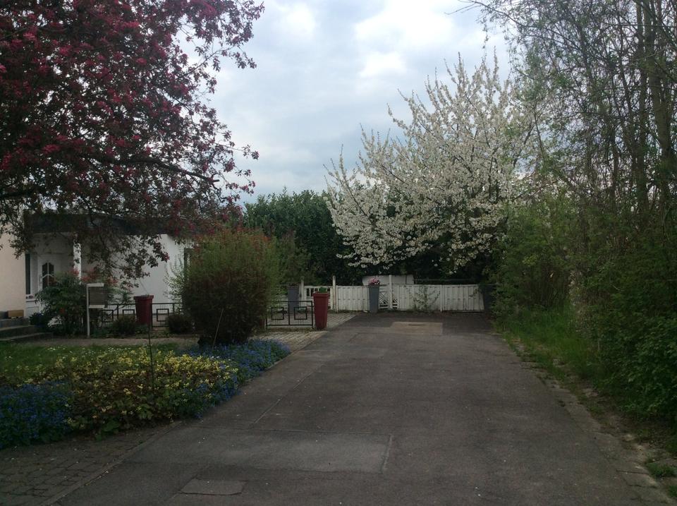 Thumbnail-Frankfurt-Nieder-Erlenbach*NATUR PUR*Schöner IDYLLISCHER BUNGALOW