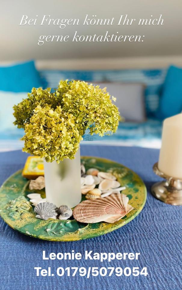 Thumbnail-Appartment mit Panoramablick über Aschaffenburg bis nach Fra