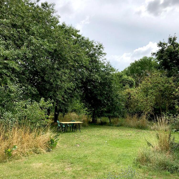 Thumbnail-Schöne 2–Zimmer–Wohnung in der Uckermark zu vermieten