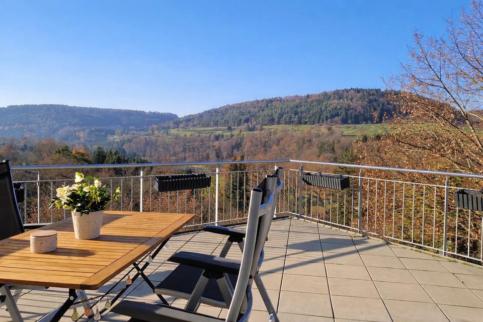 Thumbnail-Schöne, neuwertige 3-Z.Wohnung (Emmingen) m. großzügiger Terrasse