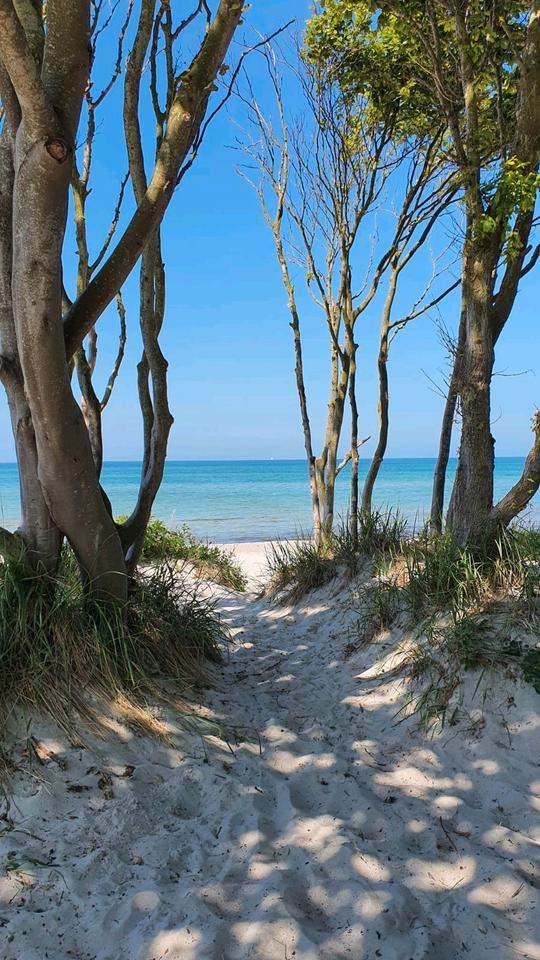 Thumbnail-Ferienhaus Ferienwohnung Stralsund Rügen Zingst Darß