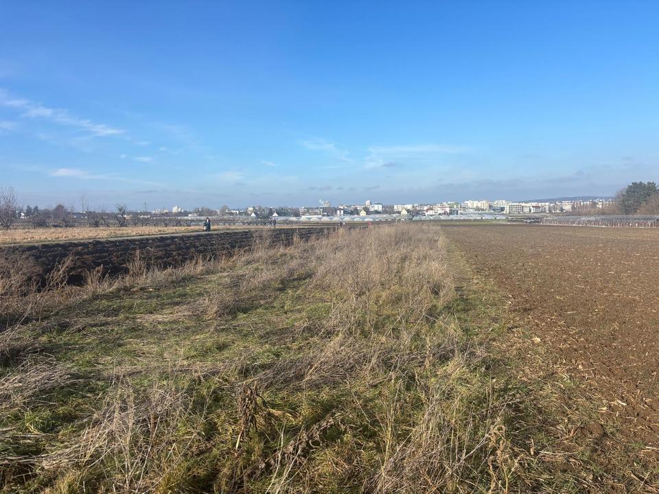 Thumbnail-Freizeitgrundstück, Garten, Streuobstwiese in Fellbach