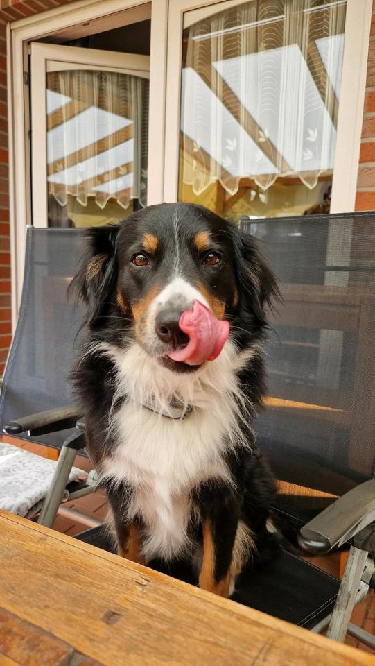 Thumbnail-Mitwohngelegenheit in Ostfriesland