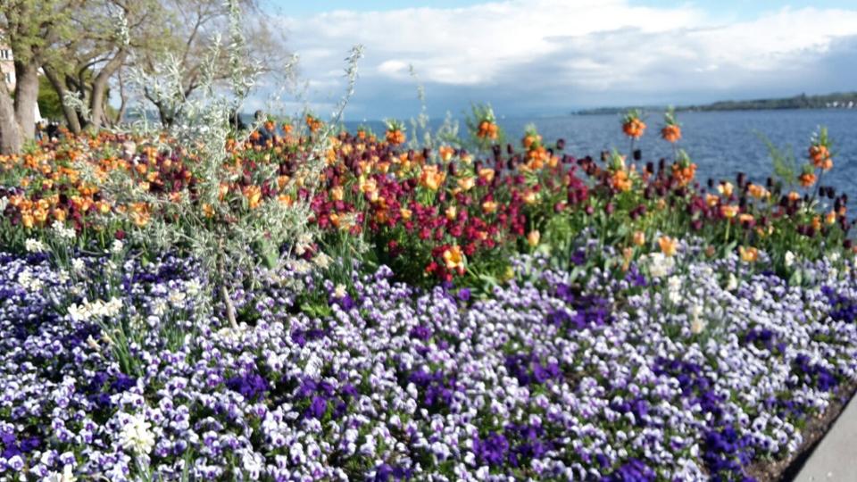 Thumbnail-Ferienwohnung, 2 sep. SZ, nähe Bodensee, Urlaub auf dem Bauernhof