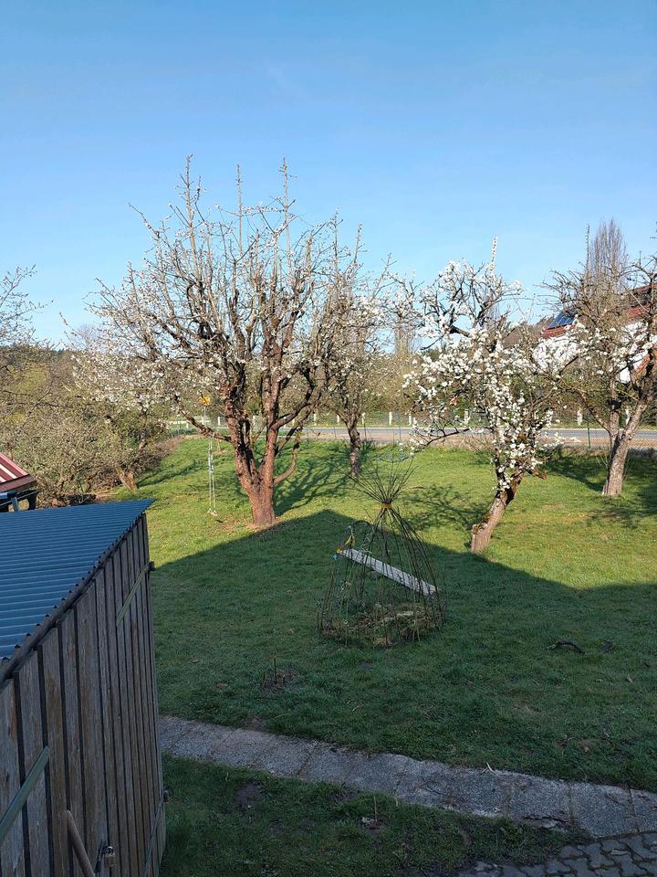 Thumbnail-Wohnung Miete Zwischenmiete Altdorf bei Nürnberg