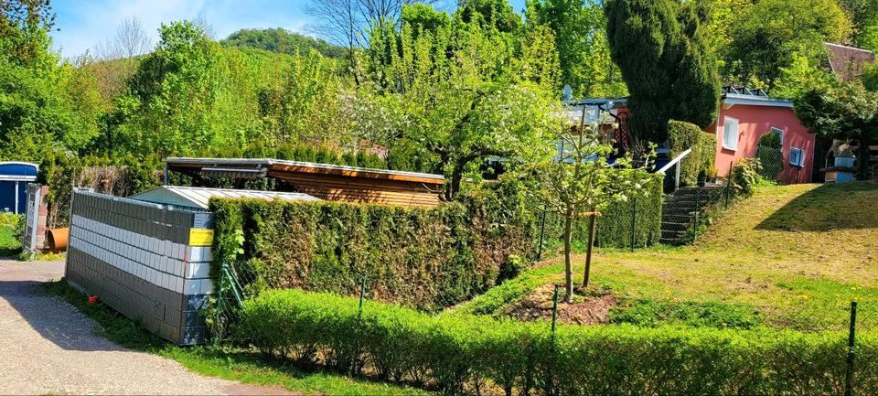 Thumbnail-Häuschen im Grünen,Preissenkung