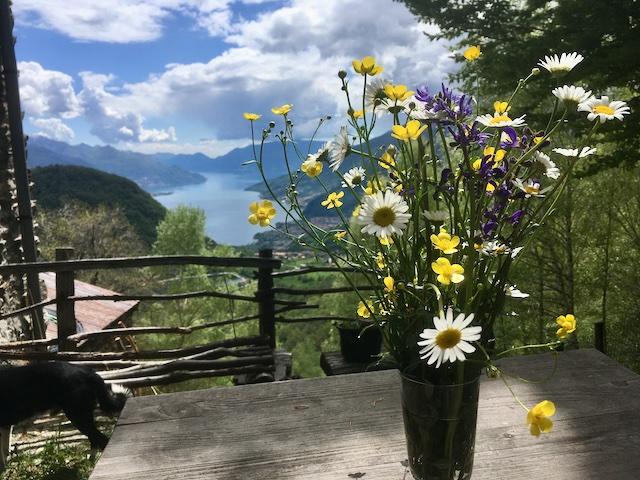 Thumbnail-Berghütte mit sooo tollem Blick auf den Comer See - Villa Lupinia