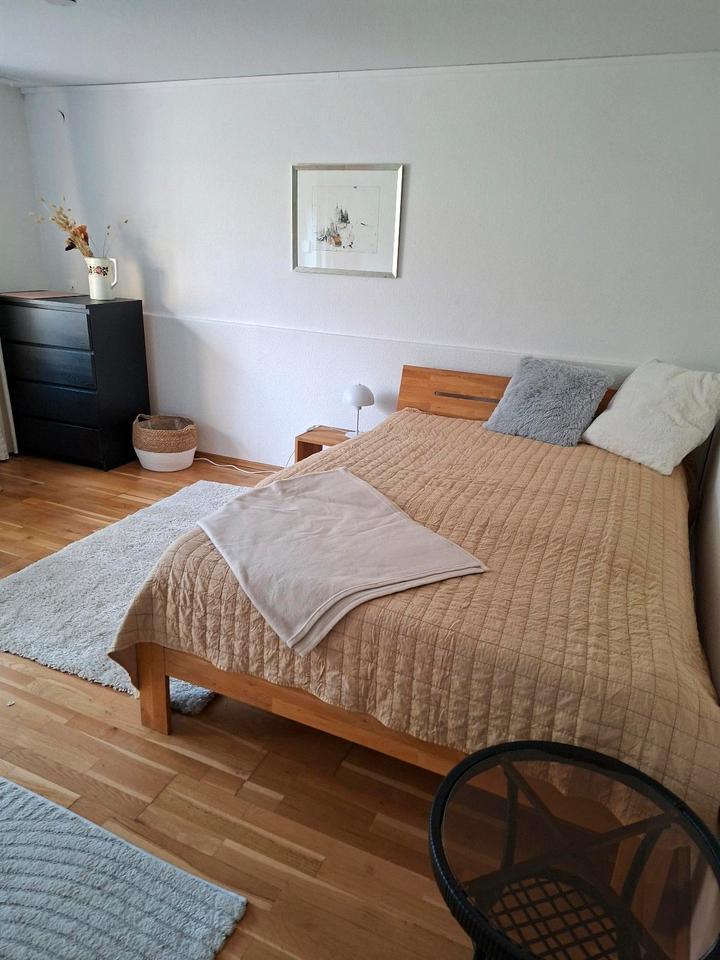 Thumbnail-befristete Einzimmerwohnung von April bis August 2026