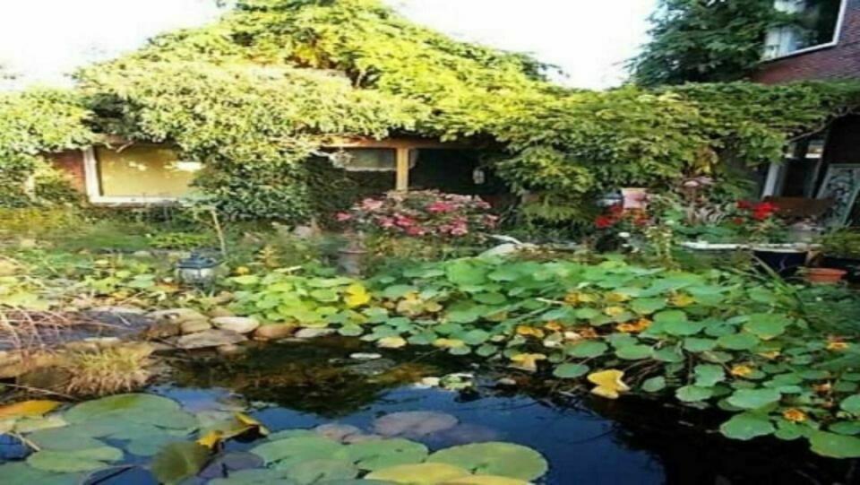 Thumbnail-Mini Ferienhaus vollmöbliert ab 1.11.25 zu vermieten