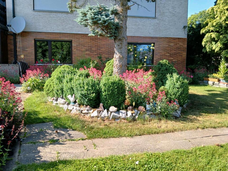 Thumbnail-3-Zimmer-Whg in 2-Familienhaus mit Terrasse, Garten, Garage