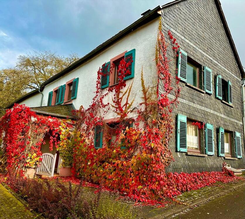 Thumbnail-Entkerntes Einfamilienhaus mit großem Grundstück